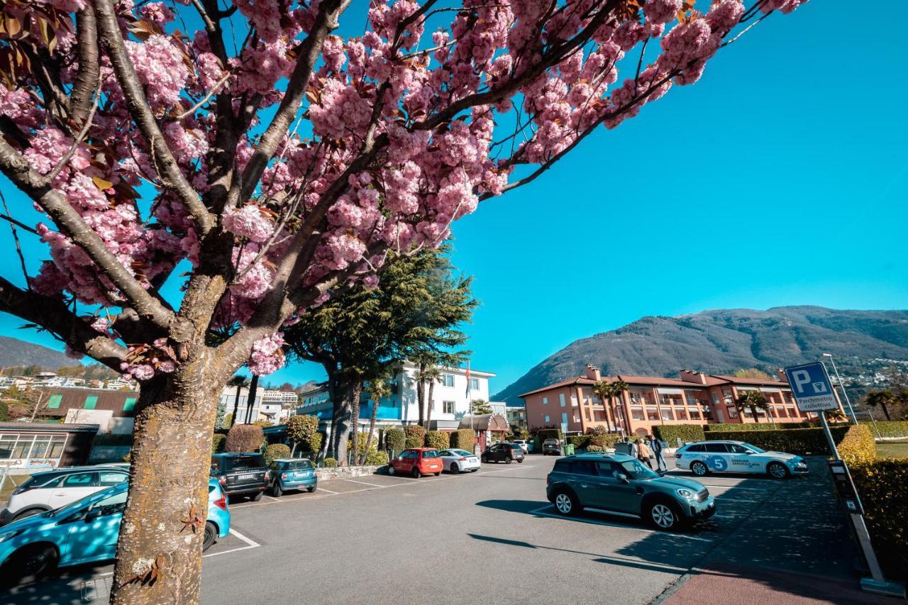 Ascona Lodge, Pool & Garden Retreat Экстерьер фото